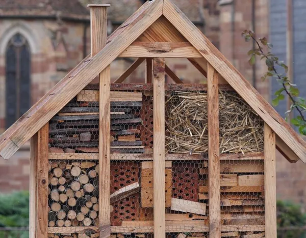 Construisons un hôtel cinq étoiles pour nos amis les insectes!
