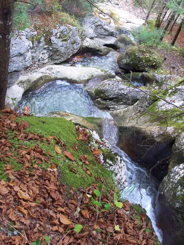 Cascade de Diomaz