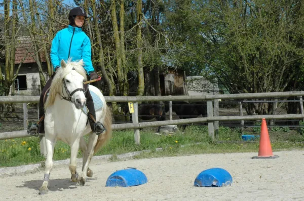 Cours particulier équitation adulte