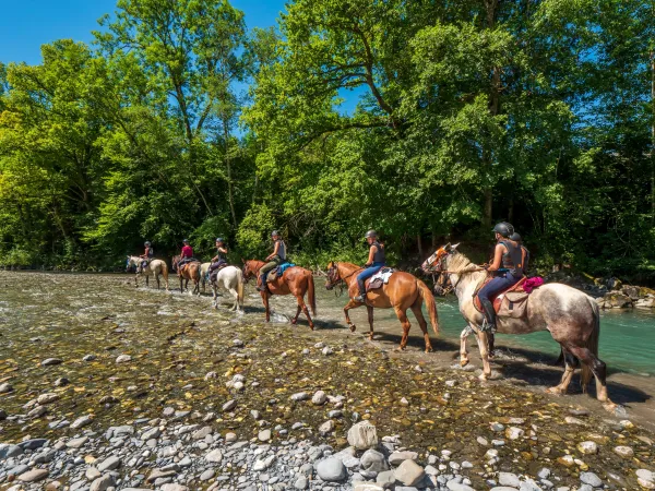 De Taninges aux Paddocks du Mont Blanc à Cheval