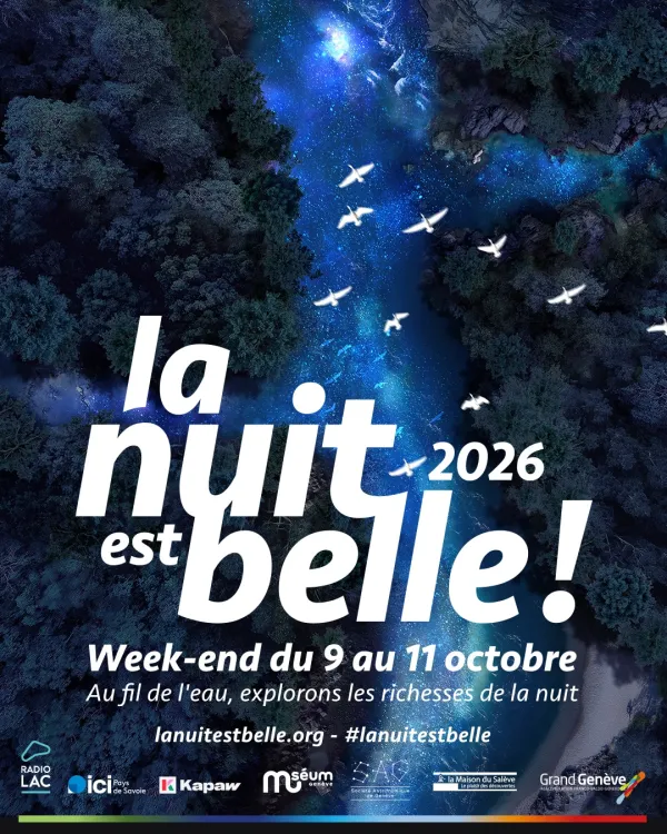 La nuit est belle !