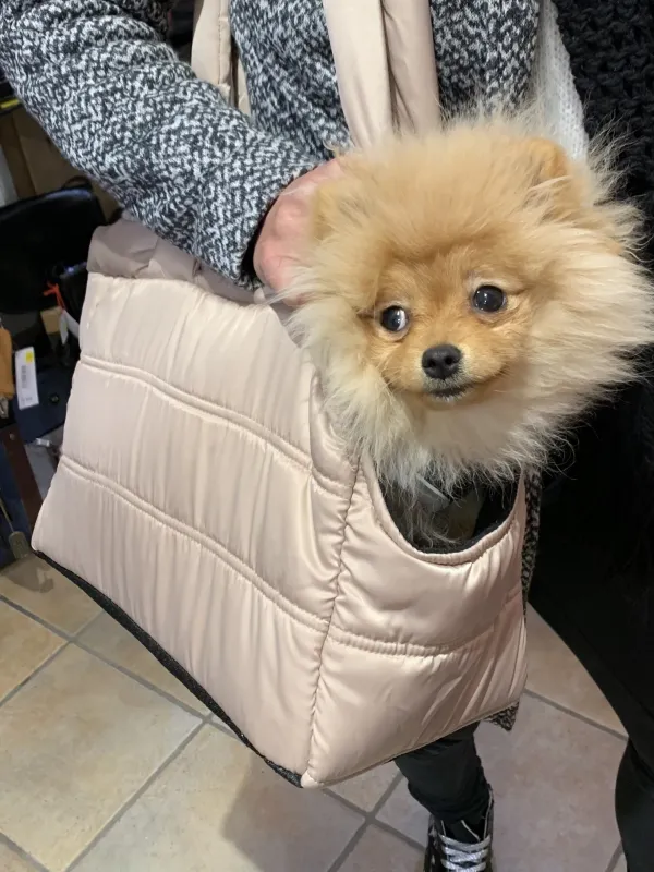 La Petite Boutique