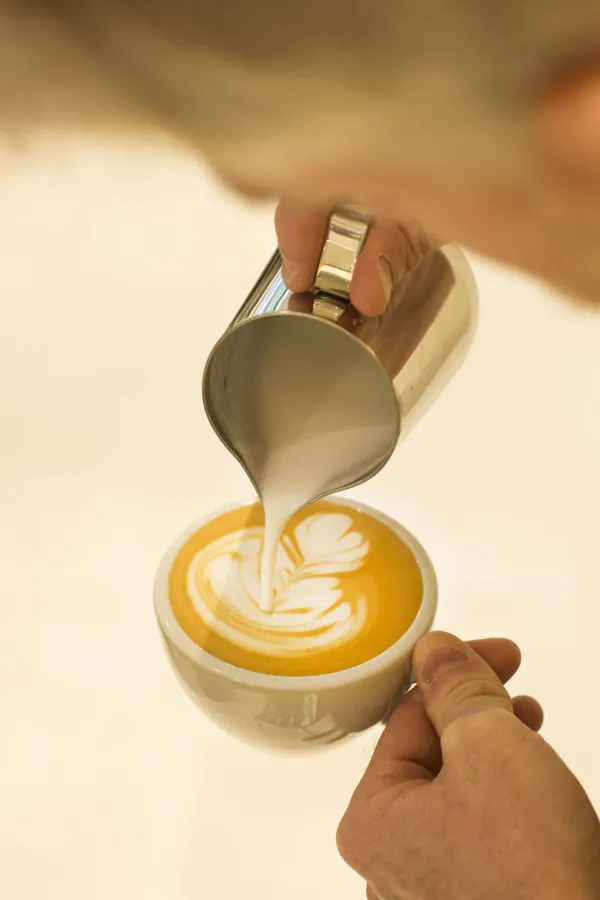 Drip Social Coffee Club