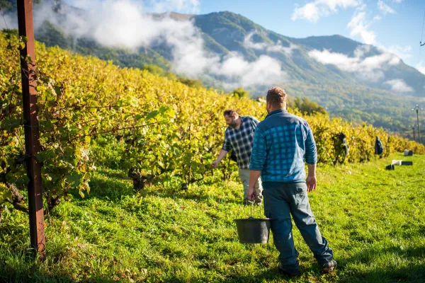 Domaine Montessuit