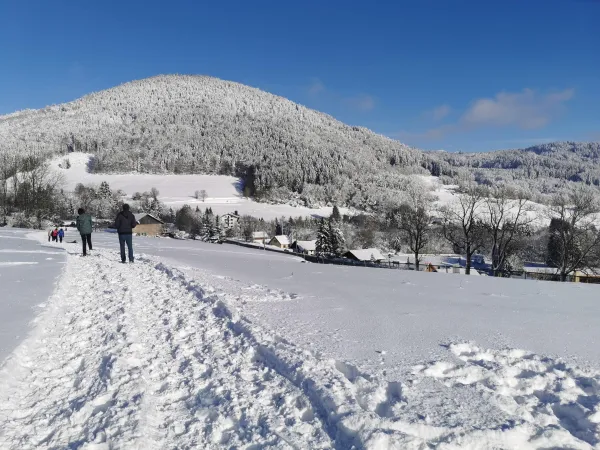 Piste piétonne