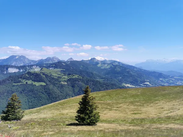 Vue Mont-Blanc