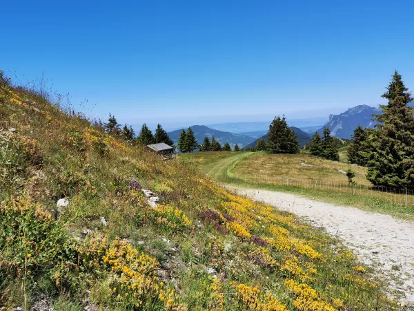 Chemin depuis la Pointe d'Hirmentaz