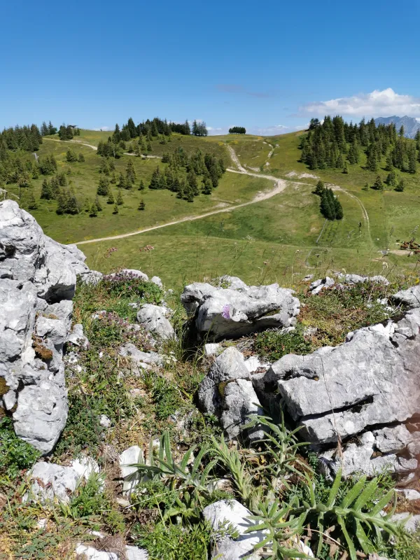 Vue sur le sommet d'Hirmentaz