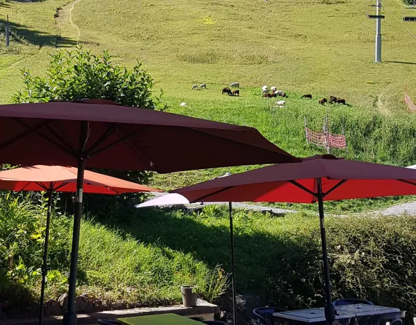 vue terrasse été