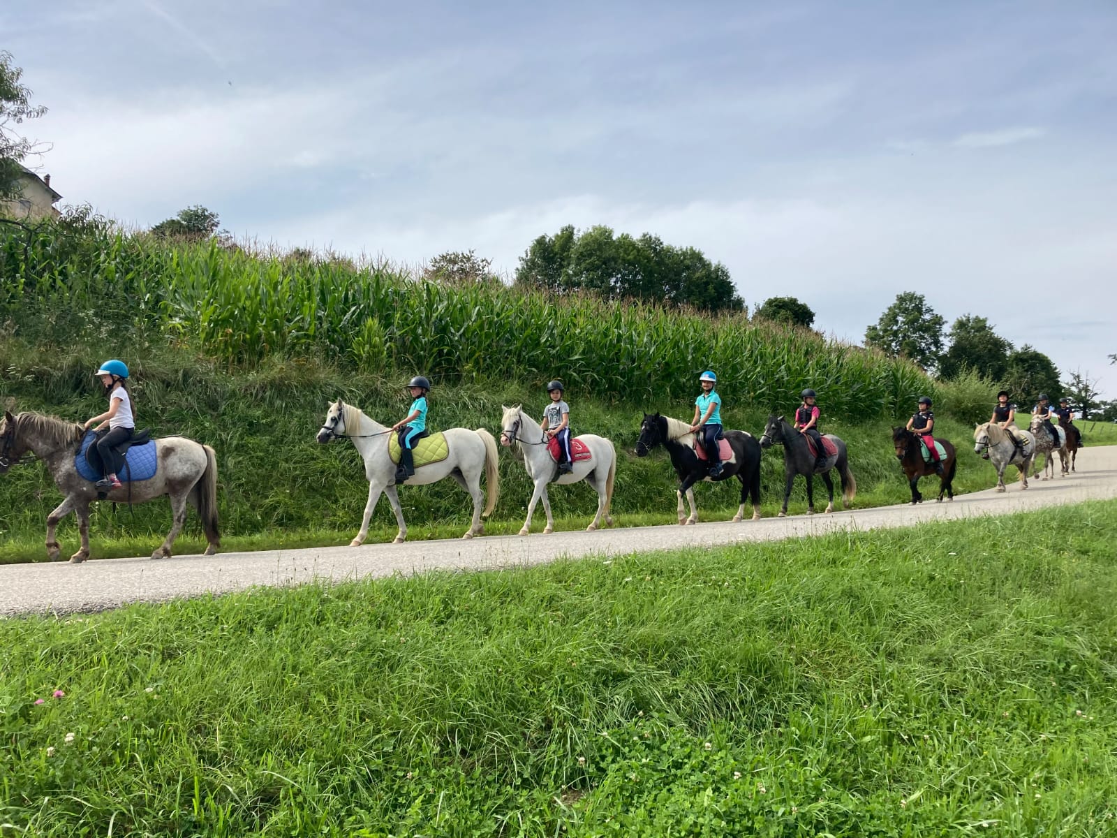 Balade à poneys