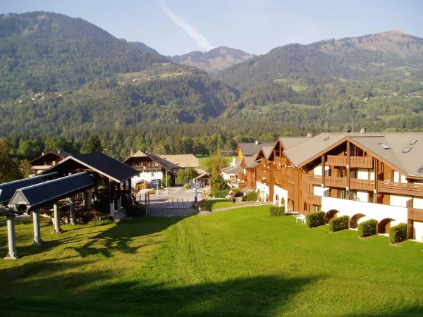 Edelweiss n°4 - Guerold Laurent