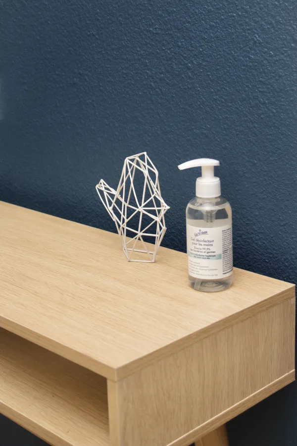 Gel hydroalcoolique
