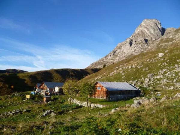 L'alpage des Frédys - vallée de Coeur