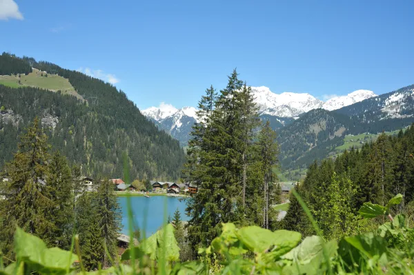 Lac de Vonnes