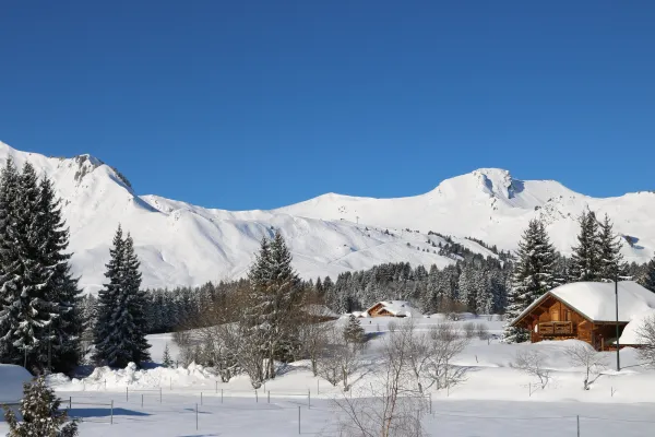 Les Terrasses du Mont Blanc - 47 m² - n°642
