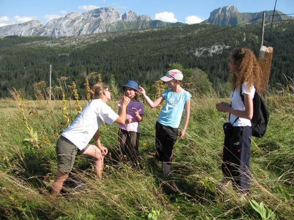 Emilie Micard - Accompagnateur en montagne