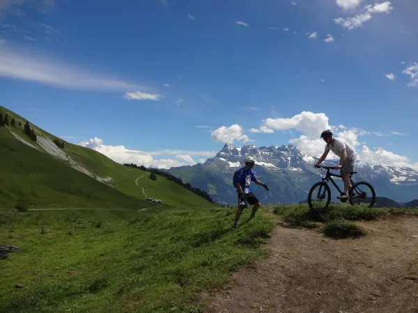 Encadrement VTT, descente, enduro