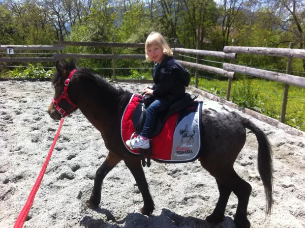 Location de poney - Les Paddocks du Mont-Blanc