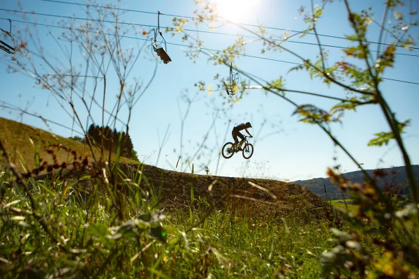 Espace VTT / Bike Park des Habères