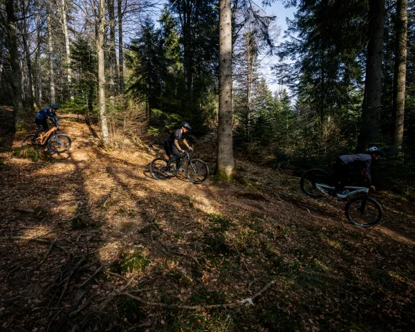 Espace VTT du Salève_Cruseilles