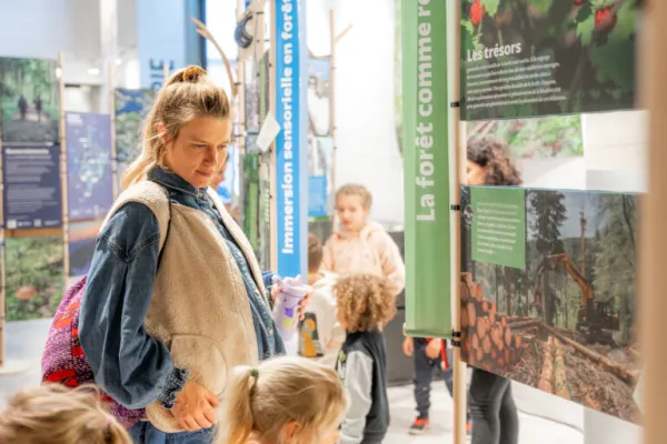 Exposition : Entre les branches