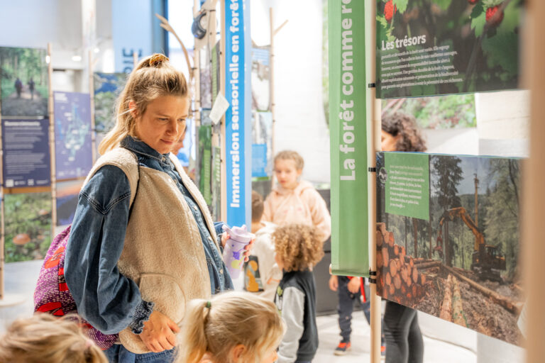 Exposition : Entre les branches_Le Grand-Bornand