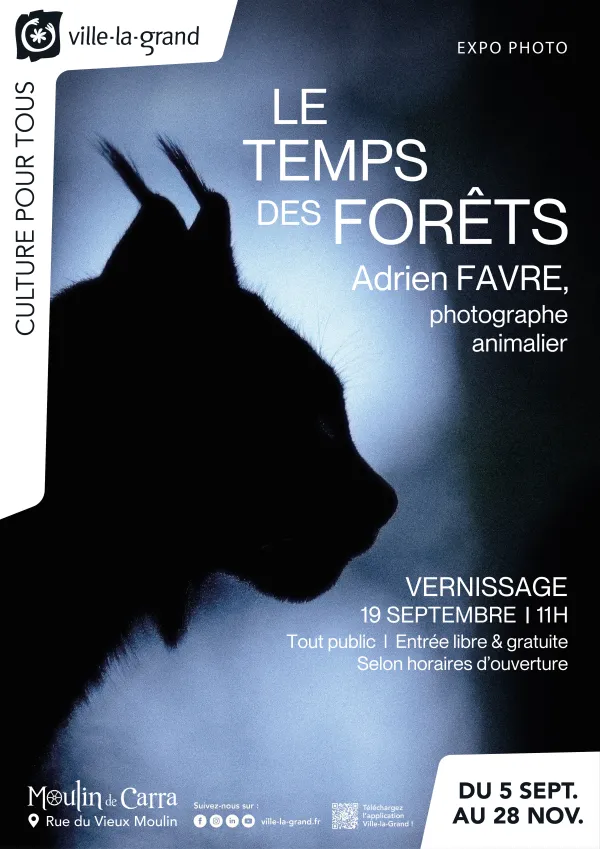 Exposition photo : Le temps des forêts