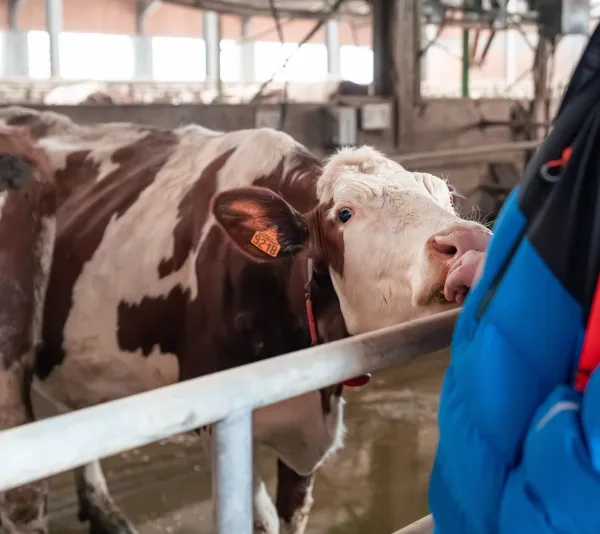 Ferme " Les Montagnards" - Exploitation agricole