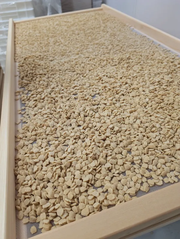 Fabrique de pâtes Arvi'Pâtes