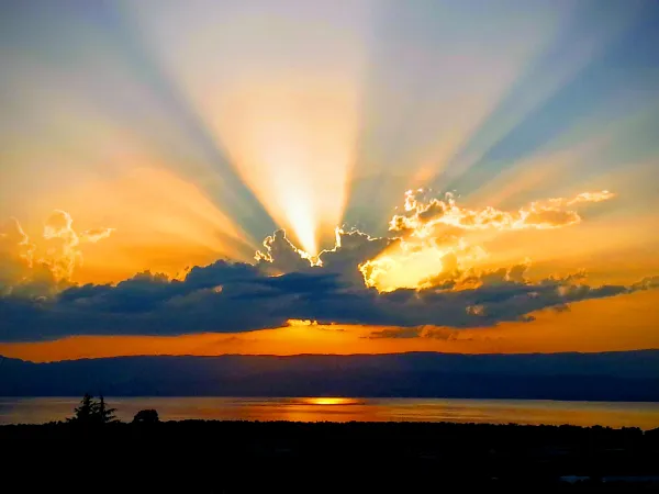 vue depuis le figuier rose