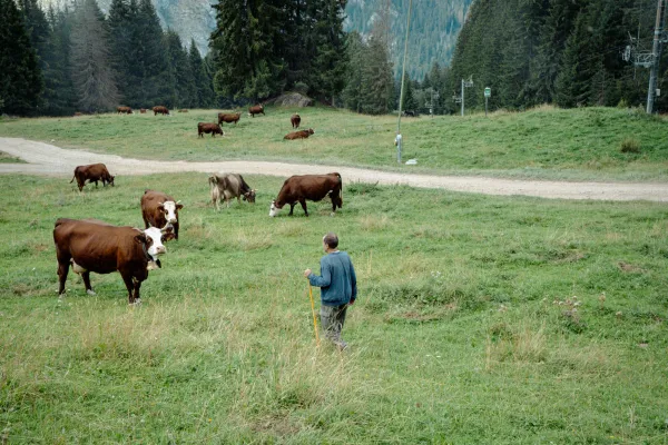 Ferme du Féto