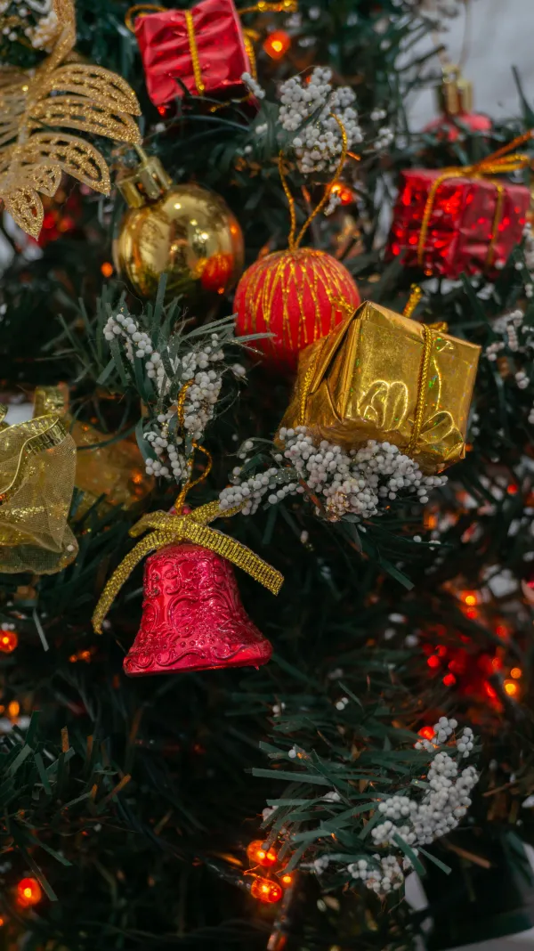 Festi'Noël