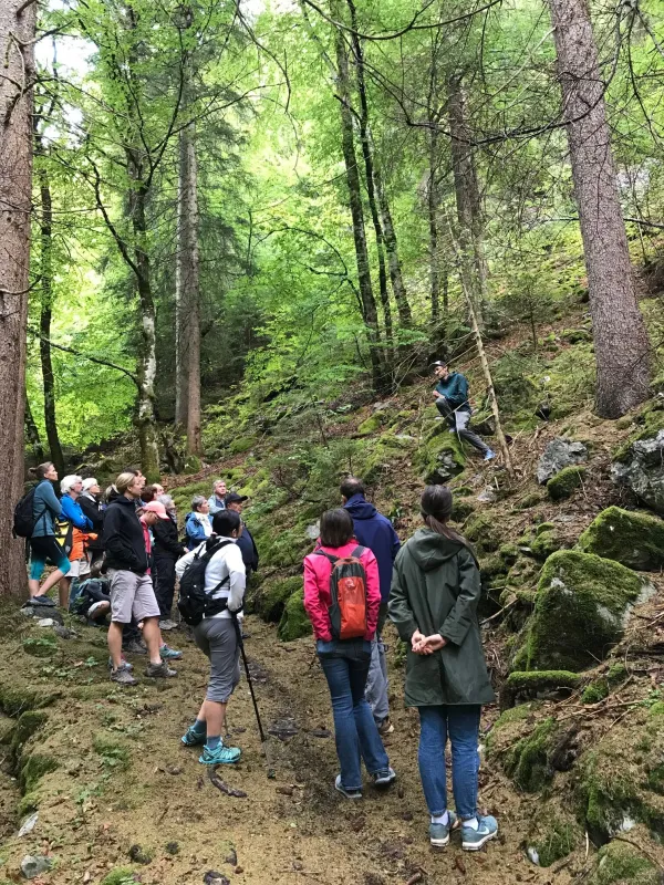 Fête des possibles : Balad’arbre