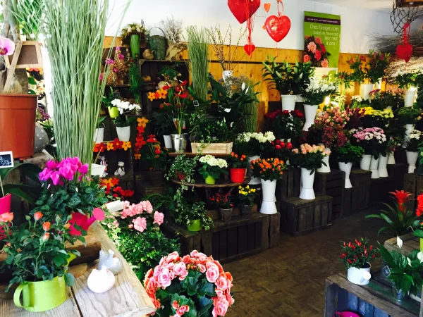 magasin