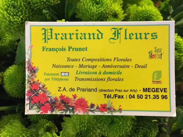 Prariand-fleurs