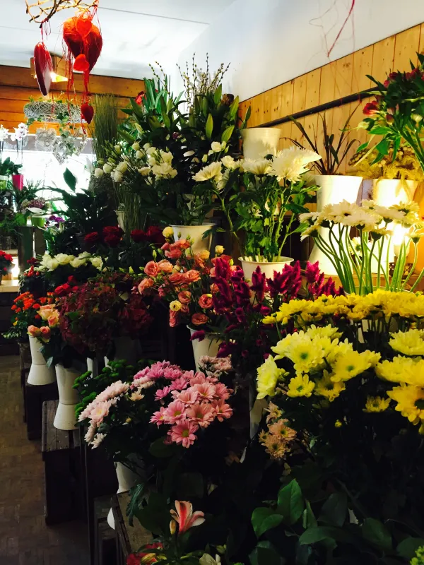 fleurs