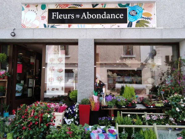 Fleurs en Abondance