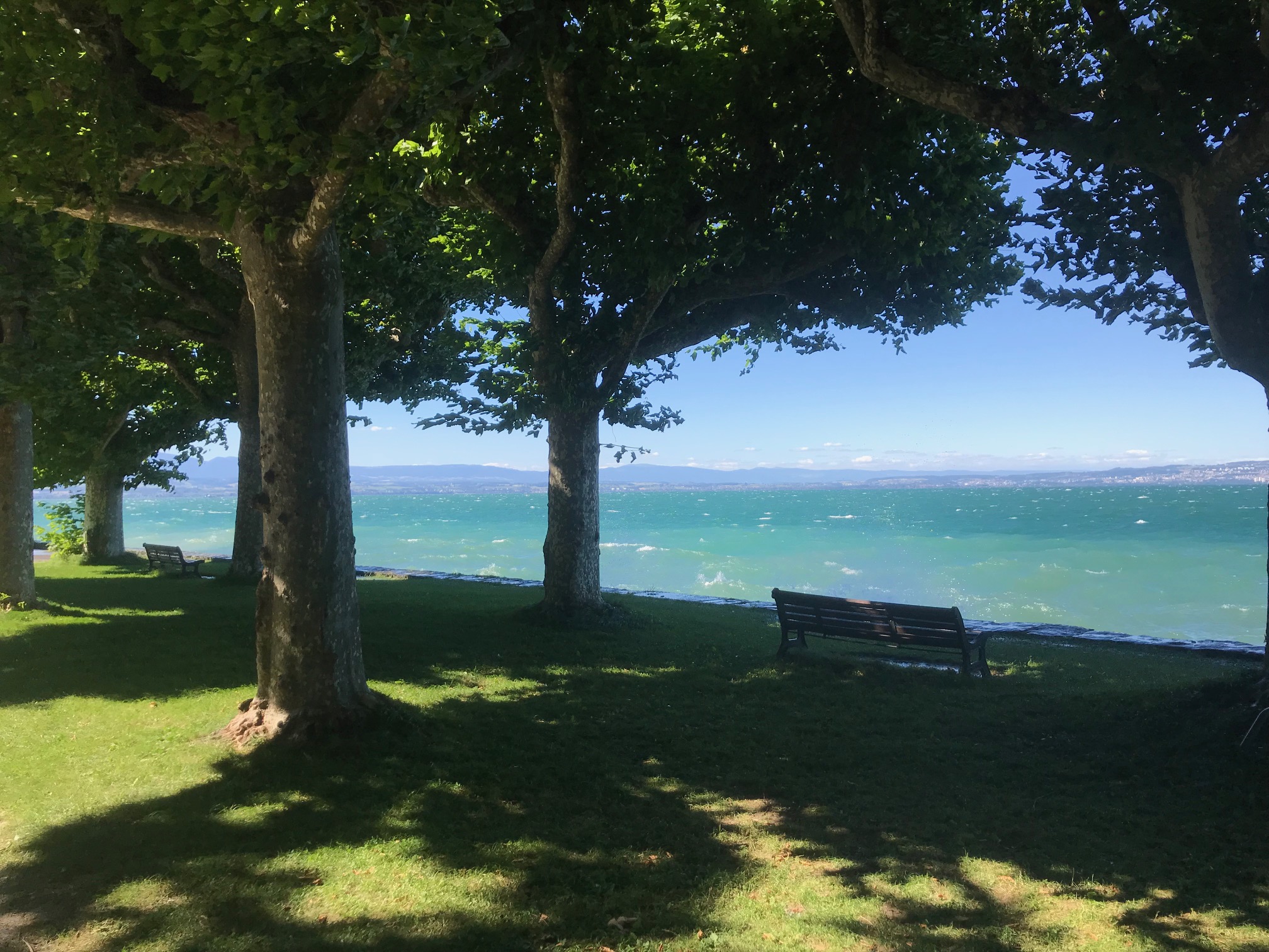 Le parc du Miroir à Publier