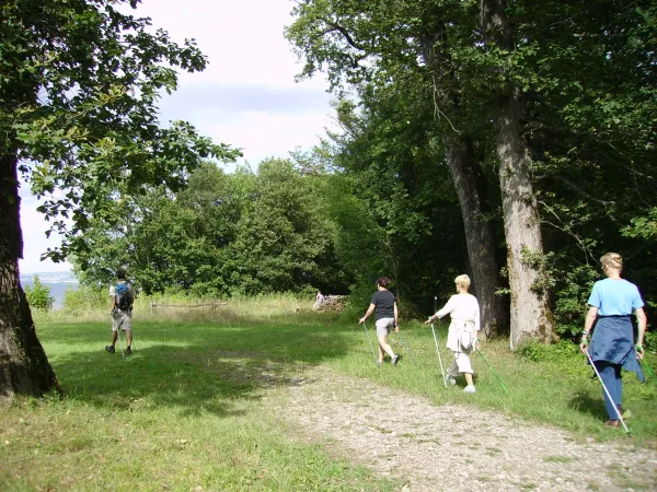 Forêt de Ripaille
