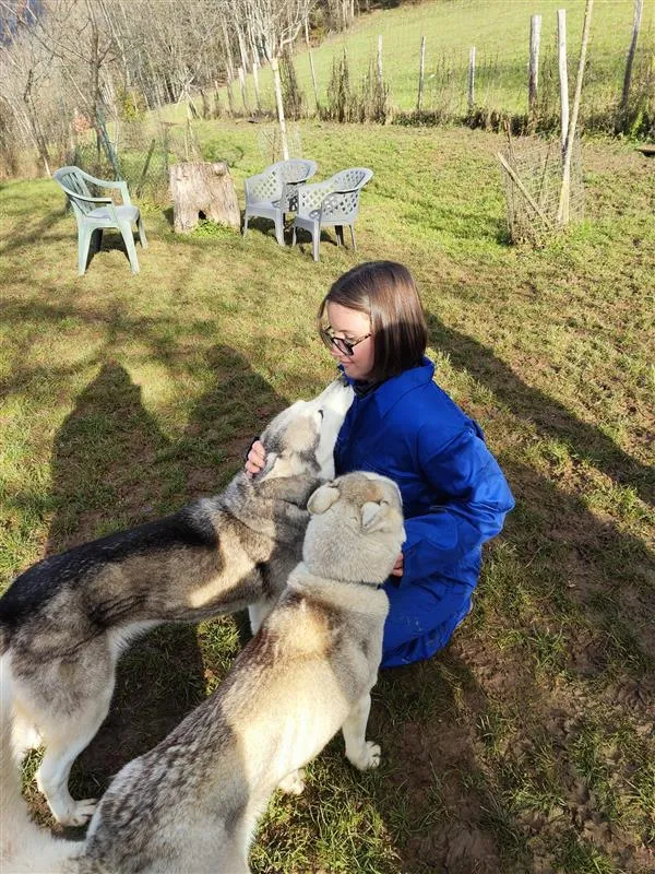 Immersion dans la vie d'un musher (cani-balade + visite du chenil)