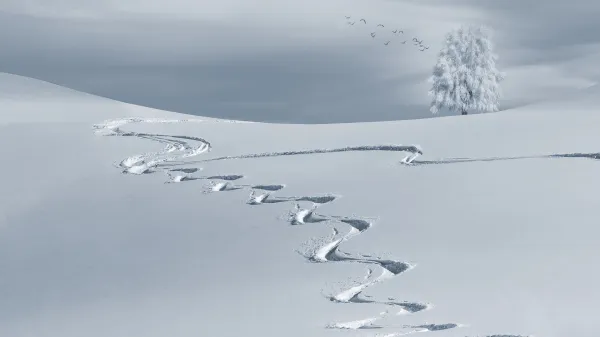 Leçons privées Ski / Hors pistes avec l'école de ski Adrenaline