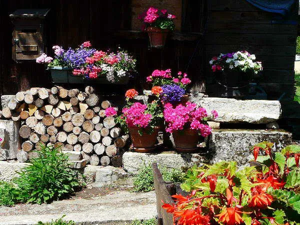 Gîte Le Môle