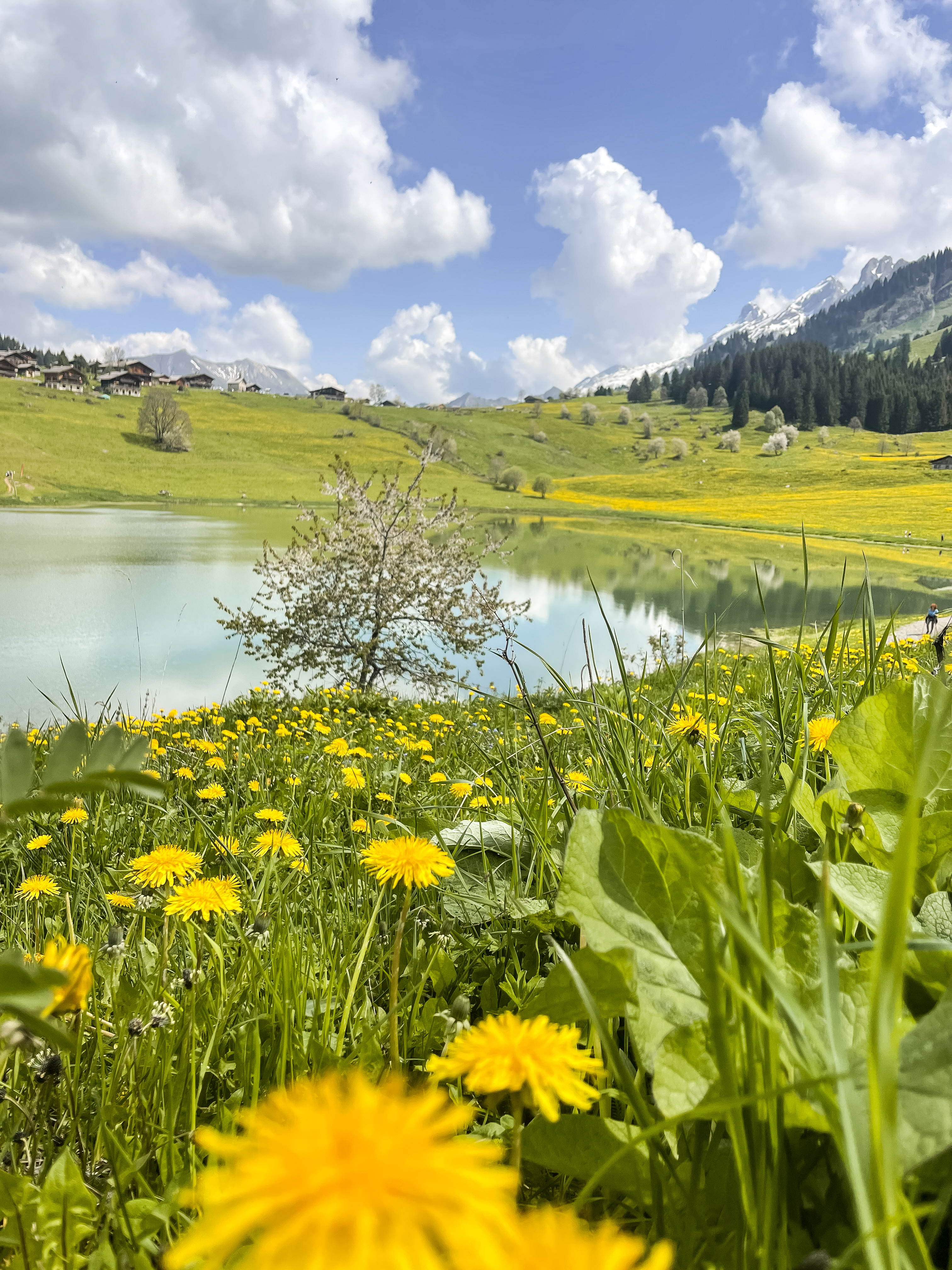 Les Ascets_La Clusaz