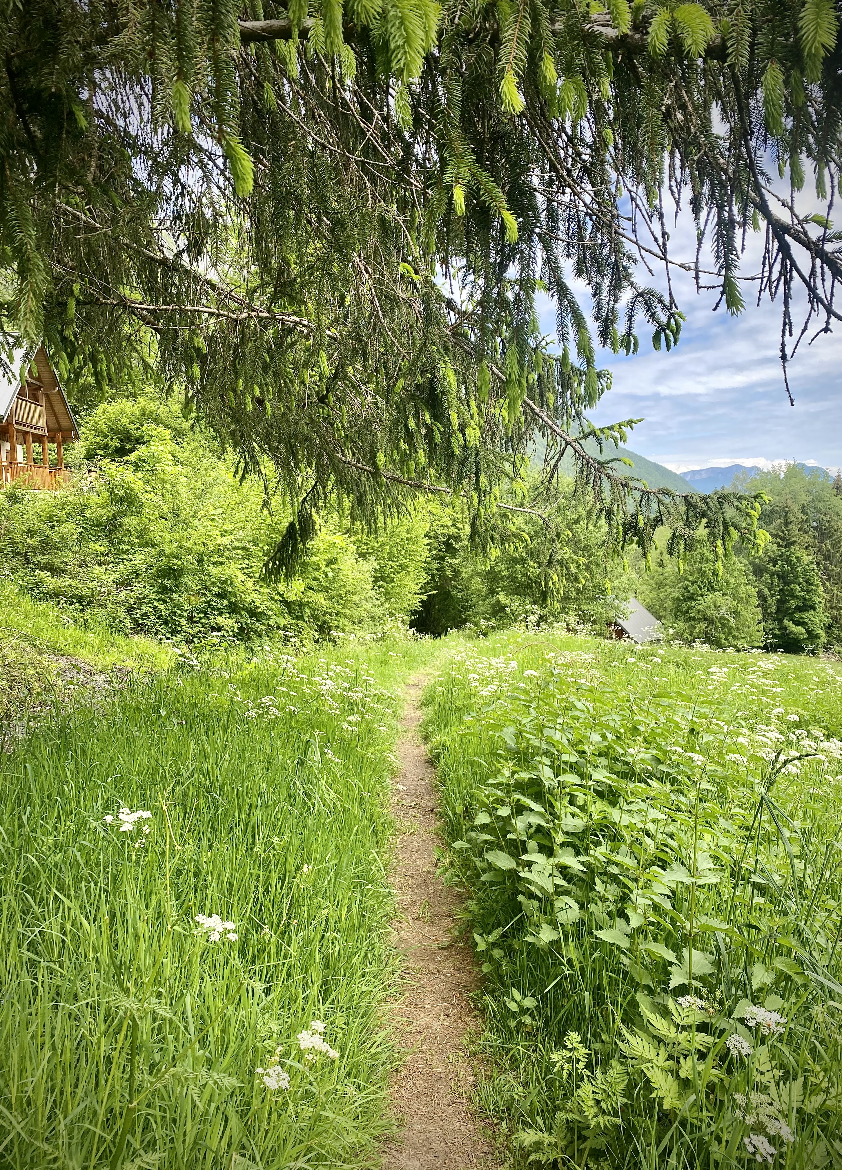 Les balcons du lac - Marche nordique n°1 à Lathuile