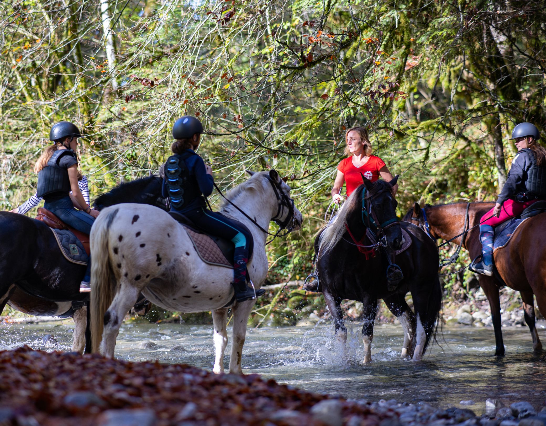 Les écuries de Chevaline à Chevaline