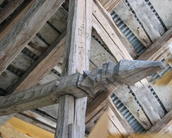Les crocodiles de Nancy-sur-Cluses