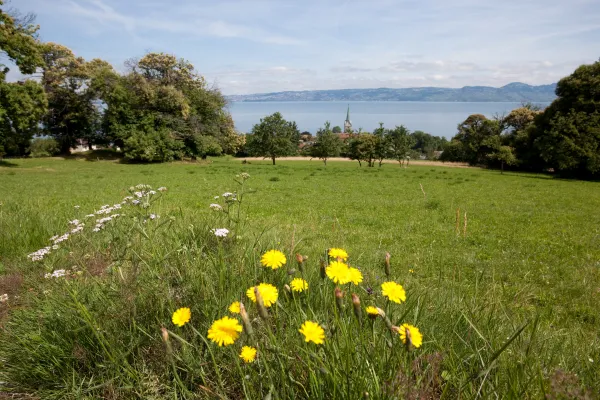 Les hameaux de Lugrin