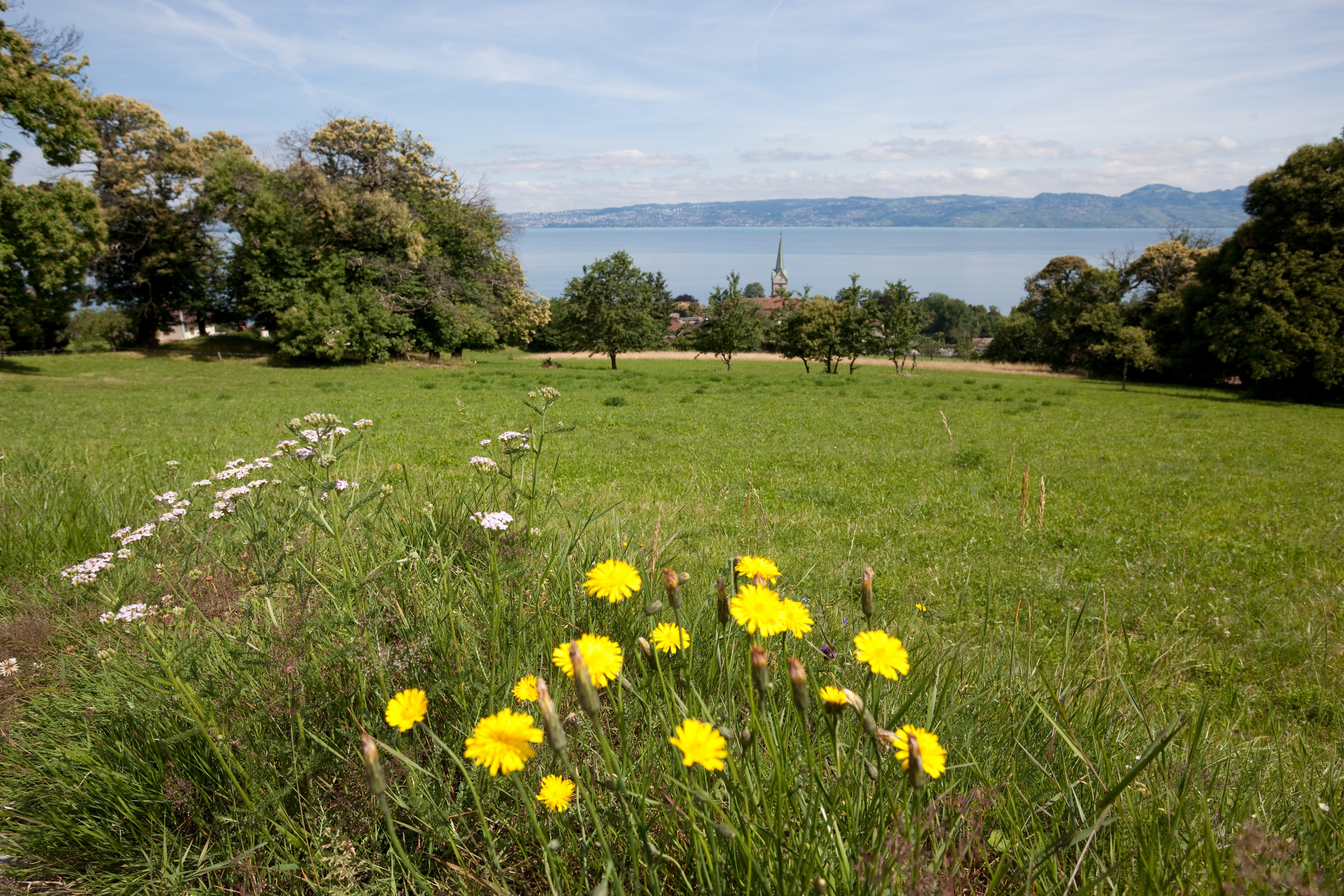 Les hameaux de Lugrin à Lugrin