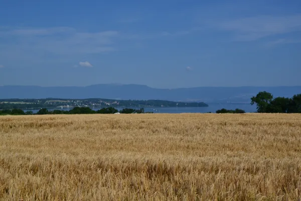 GRP® Littoral du Léman à pieds - Etape 1 : St Gingolph > Meillerie