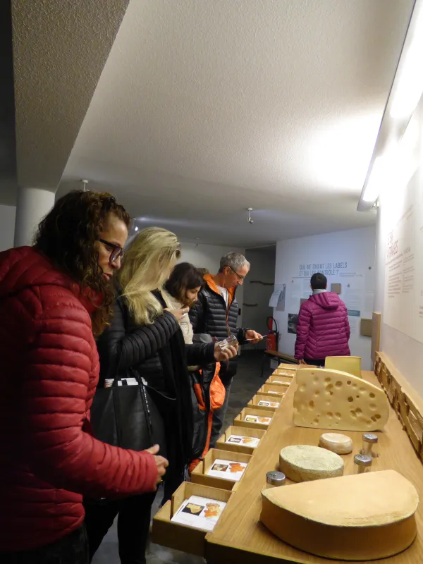 Visite libre groupes adultes